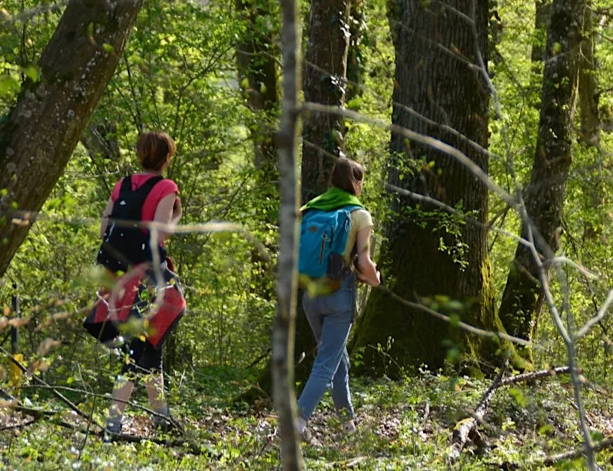 Déambulation