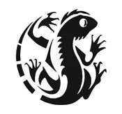 LIZARDS SOUND