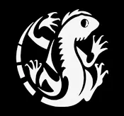 LIZARDS SOUND